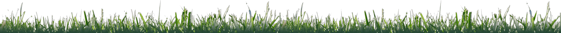 landscape-maintenance-37.webp